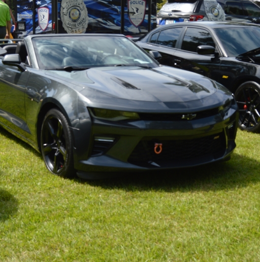 Crowfield Car show_1