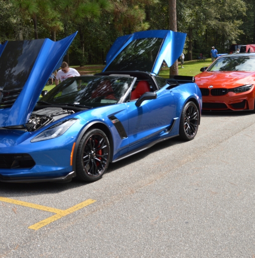 Crowfield Car show_3