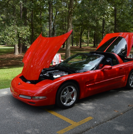 Crowfield Car show_5