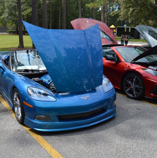 Crowfield Car show_7